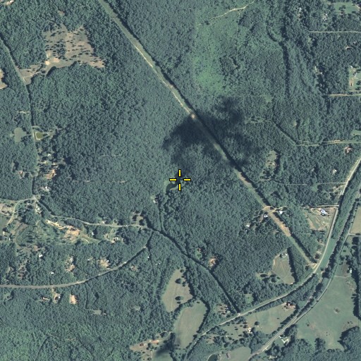 Aerial/Satellite Image of Connesena Spring, GA