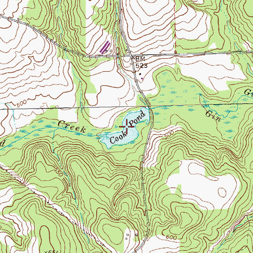 Topographic Map of Cook Pond, GA