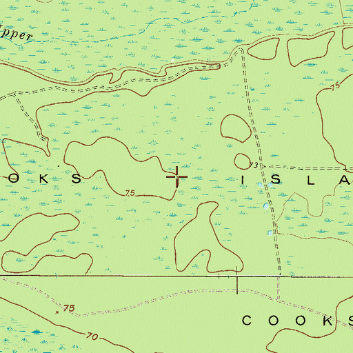 Topographic Map of Cooks Island, GA