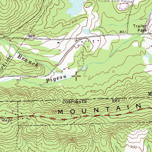 Topographic Map of Cooler Branch, GA