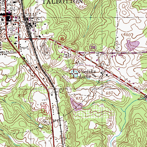 Topographic Map of Cooliks Lake, GA