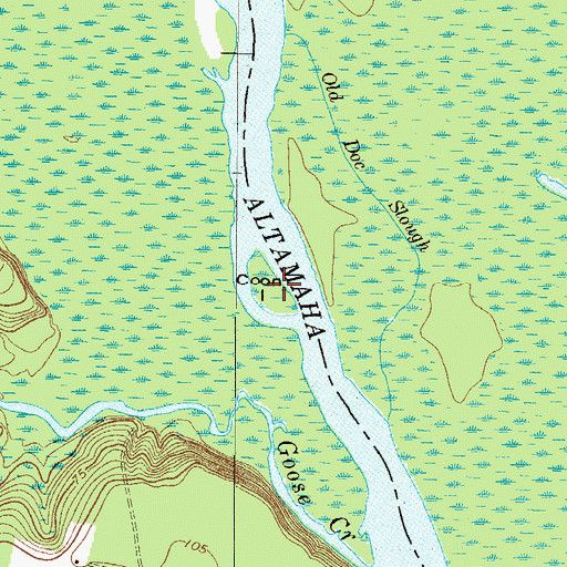 Topographic Map of Coon Island, GA