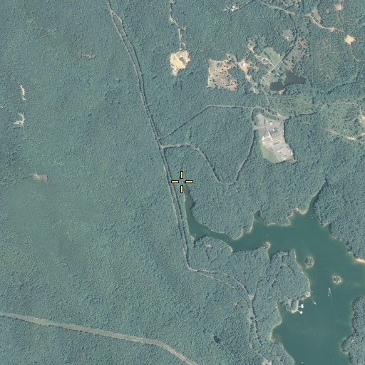 Aerial/Satellite Image of Cooper Branch, GA