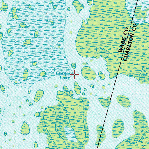 Topographic Map of Cooter Lake, GA