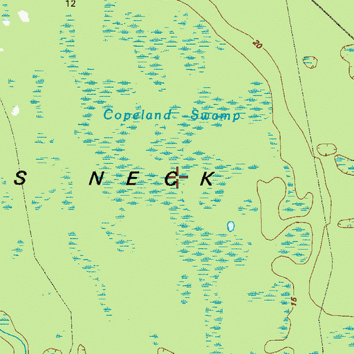Topographic Map of Copeland Swamp, GA