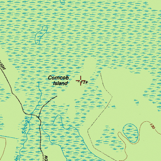 Topographic Map of Corncob Island, GA