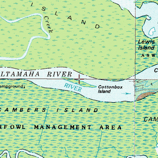 Topographic Map of Cottonbox Island, GA