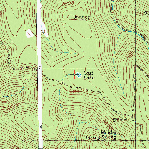 Topographic Map of Lost Lake, AZ