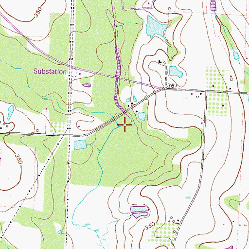 Topographic Map of Courthouse Branch, GA