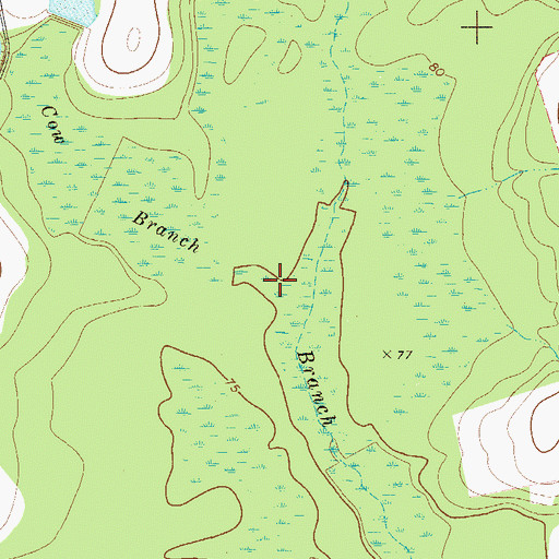 Topographic Map of Cow Branch, GA