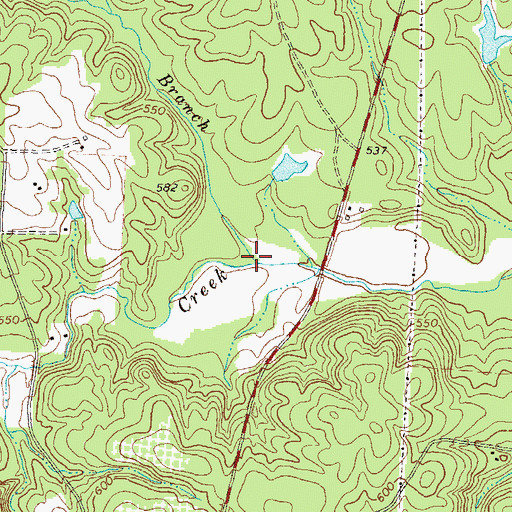 Topographic Map of Cow Horn Branch, GA