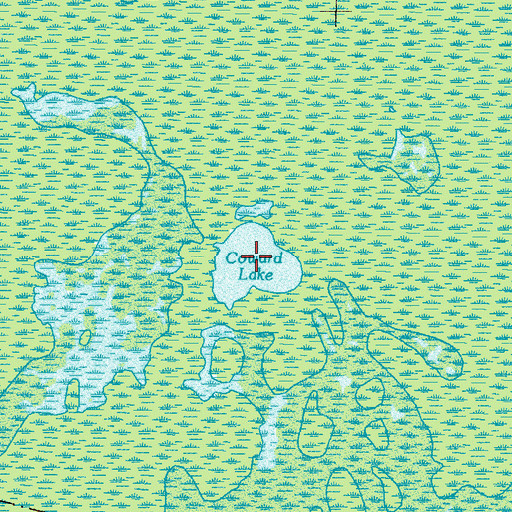 Topographic Map of Coward Lake, GA