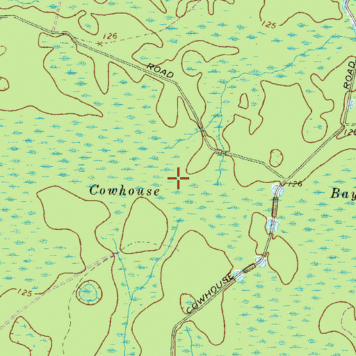 Topographic Map of Cowhouse Bay, GA