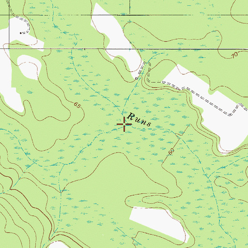 Topographic Map of Cowpen Branch, GA