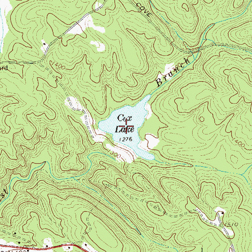 Topographic Map of Cox Lake, GA