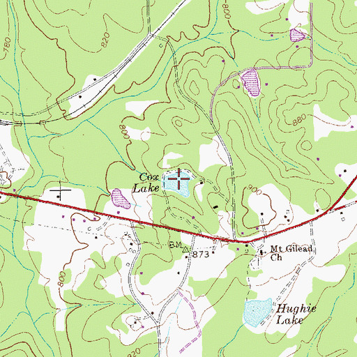 Topographic Map of Cox Lake, GA