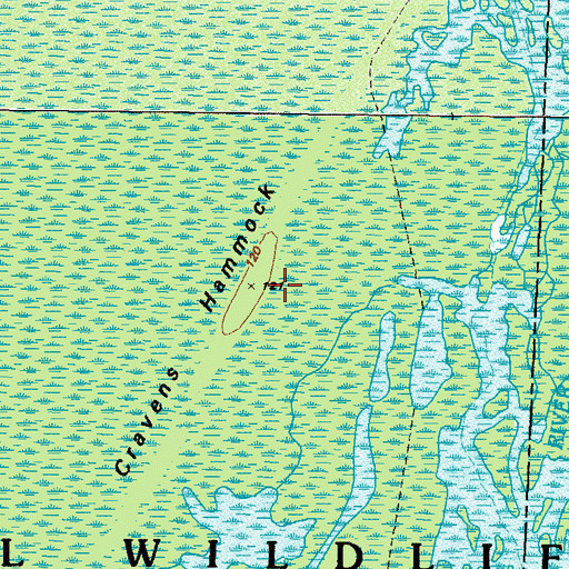 Topographic Map of Cravens Hammock, GA