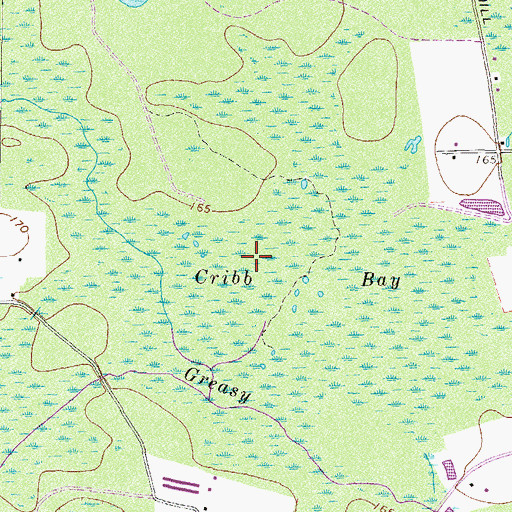 Topographic Map of Cribb Bay, GA