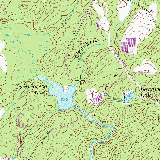 Topographic Map of Crooked Creek, GA