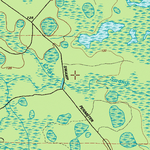 Topographic Map of Cross Swamp, GA