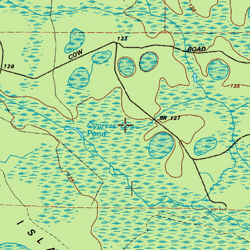 Topographic Map of Cypress Log Pond, GA