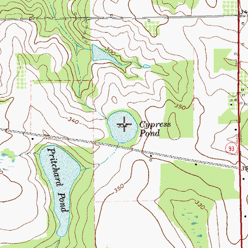 Topographic Map of Cypress Pond, GA