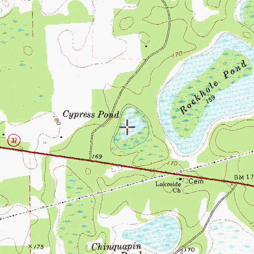 Topographic Map of Cypress Pond, GA