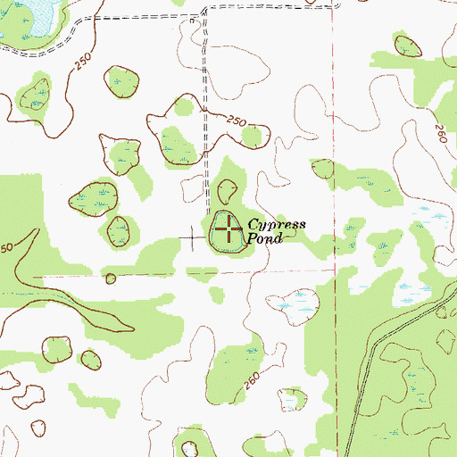 Topographic Map of Cypress Pond, GA