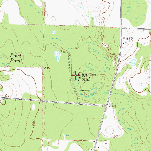 Topographic Map of Cypress Pond, GA