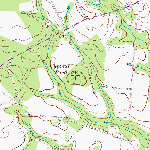 Topographic Map of Cypress Pond, GA