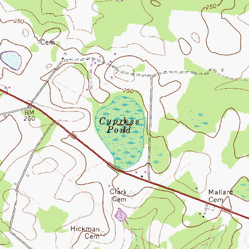 Topographic Map of Cypress Pond, GA