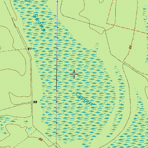 Topographic Map of Cypress Swamp, GA