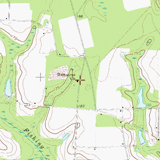 Topographic Map of Damascus Church, GA