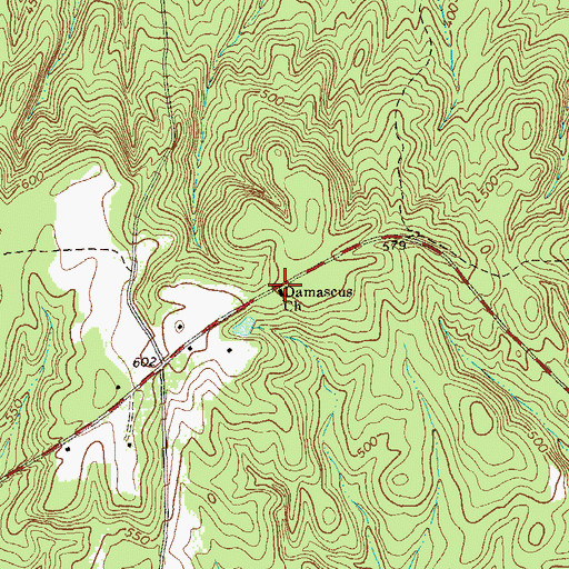 Topographic Map of Damascus Church, GA
