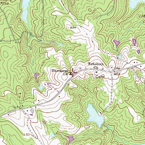 Topographic Map of Damascus Church, GA