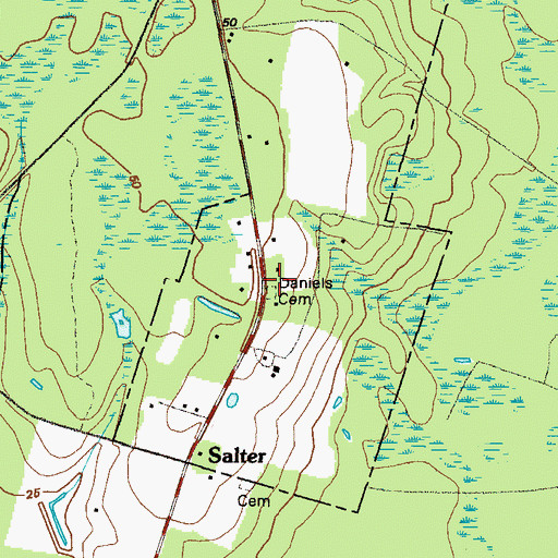 Topographic Map of Daniels Cemetery, GA