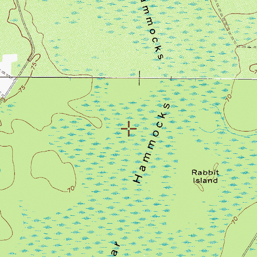 Topographic Map of Dark Thick, GA