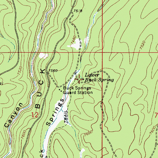 Topographic Map of Lower Buck Spring, AZ