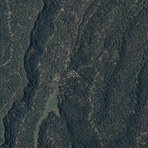 Aerial/Satellite Image of Lower Buck Spring, AZ