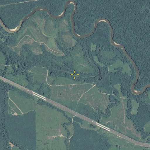 Aerial/Satellite Image of Dead River, GA