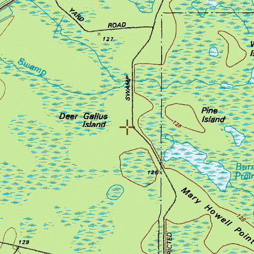 Topographic Map of Deer Gallus Island, GA