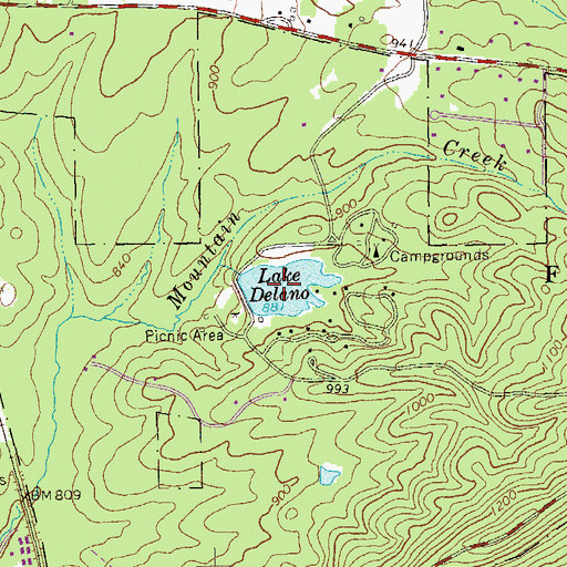 Topographic Map of Lake Delano, GA