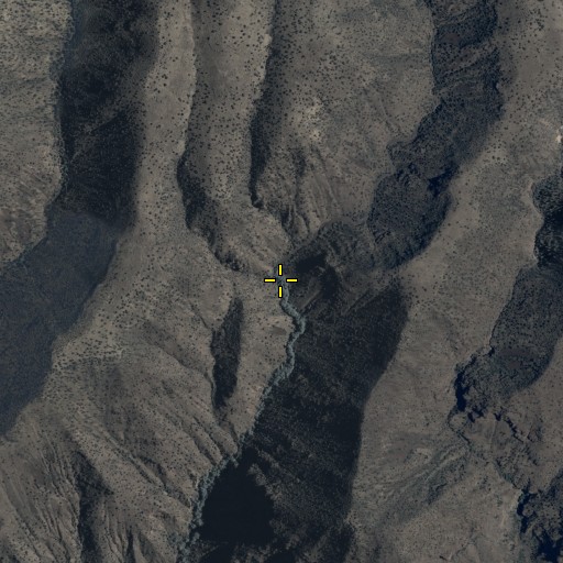 Aerial/Satellite Image of Lower Coalson Spring, AZ