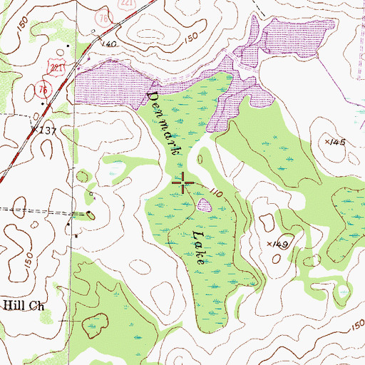 Topographic Map of Denmark Lake, GA