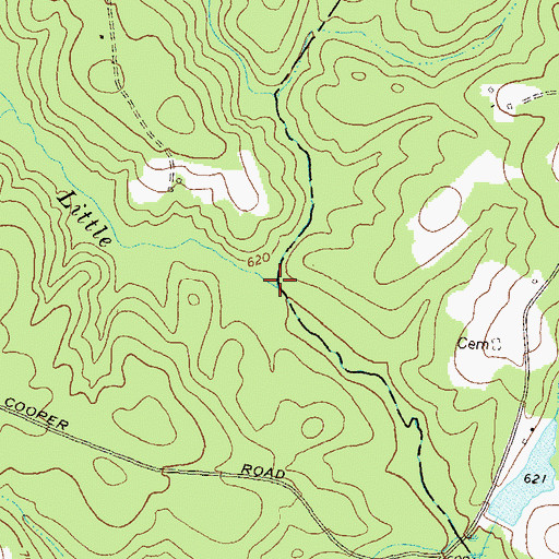 Topographic Map of Dennis Creek, GA