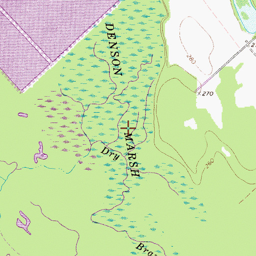 Topographic Map of Denson Marsh, GA