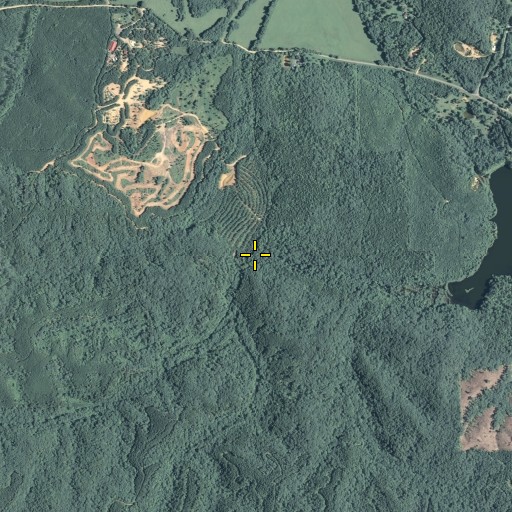 Aerial/Satellite Image of Devils Darning Needle Hollow, GA