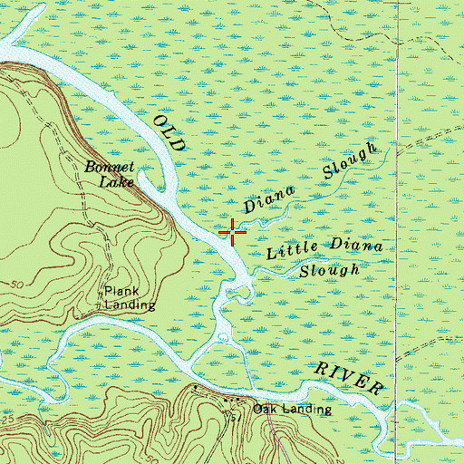 Topographic Map of Diana Slough, GA