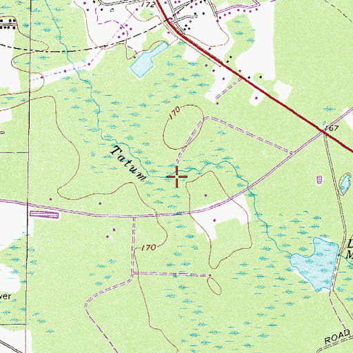Topographic Map of Dickerson Millpond, GA