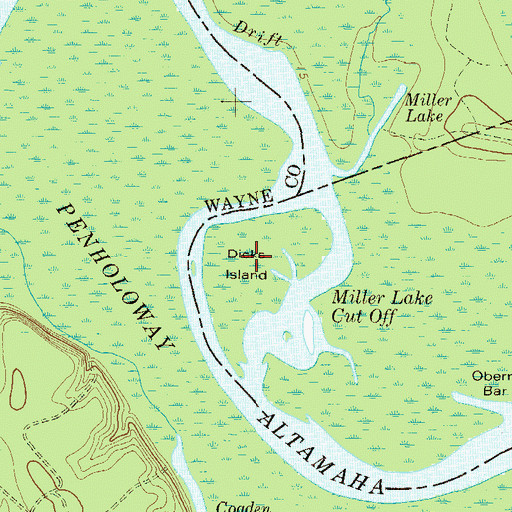 Topographic Map of Dicks Island, GA